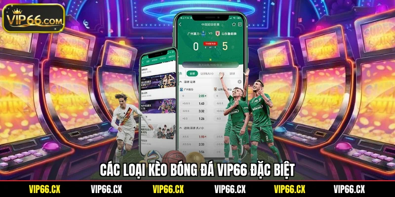 Các loại kèo bóng đá Vip66 đặc biệt
