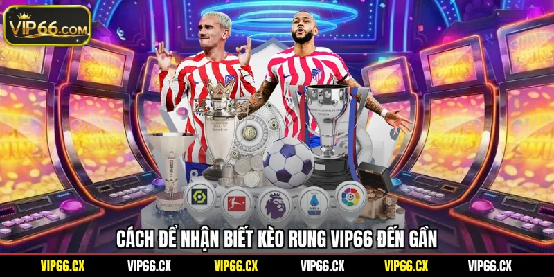 Cách để nhận biết kèo rung Vip66 đến gần