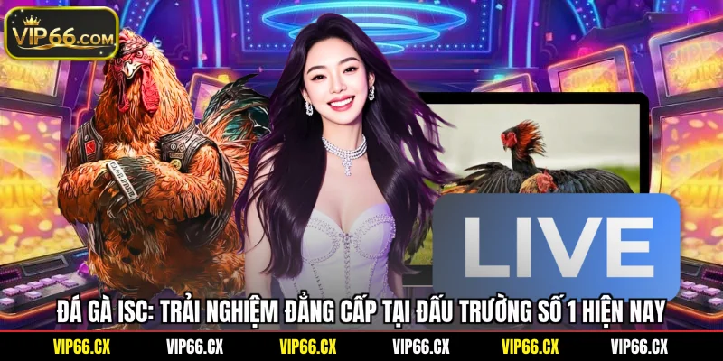 Đá Gà ISC: Trải Nghiệm Đẳng Cấp Tại Đấu Trường Số 1 Hiện Nay