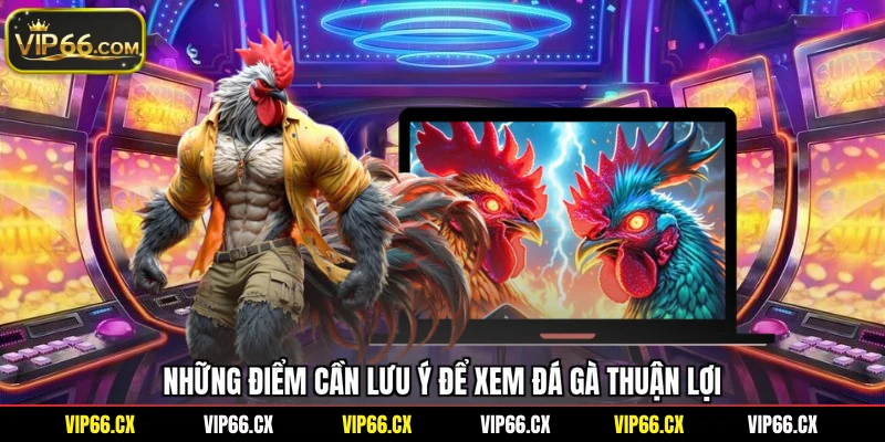 Những điểm cần lưu ý để xem đá gà thuận lợi