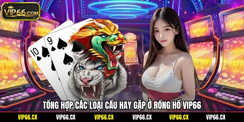 Tổng hợp các loại cầu hay gặp ở Rồng Hổ Vip66